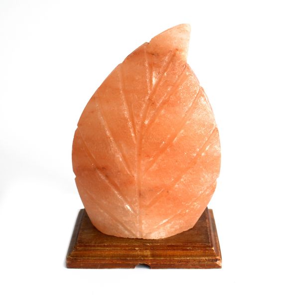 Himalayan Salt Lamp, Fern, product photograph