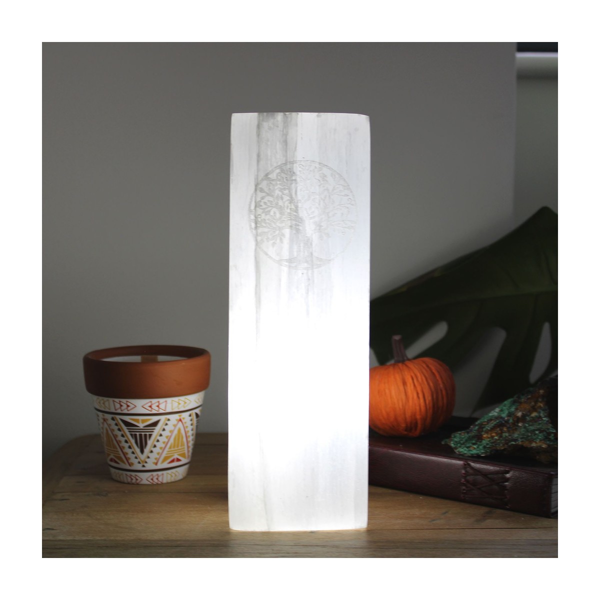 Selenite Block Lamp, Tree of Life