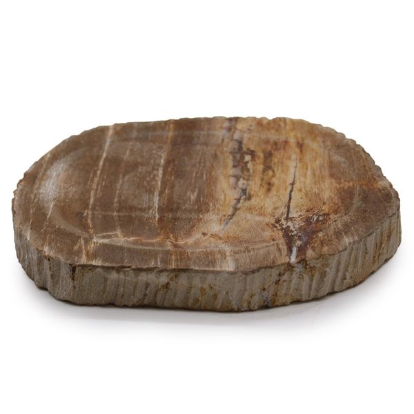 Petrified Wood Soap Dish, Brown, product photograph